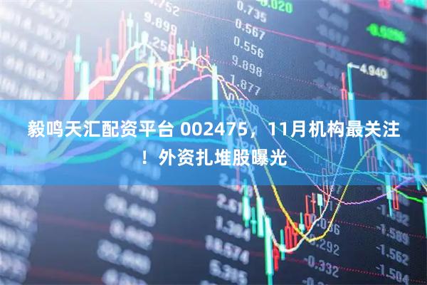 毅鸣天汇配资平台 002475，11月机构最关注！外资扎堆股曝光